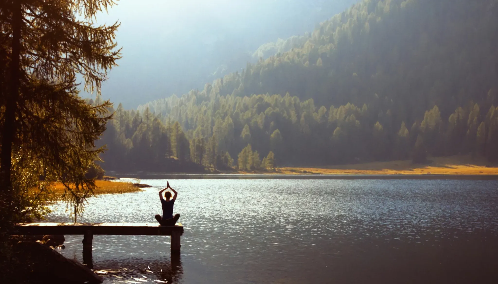 MINDFULNESS KAN REDUSERE RYGGSMERTER